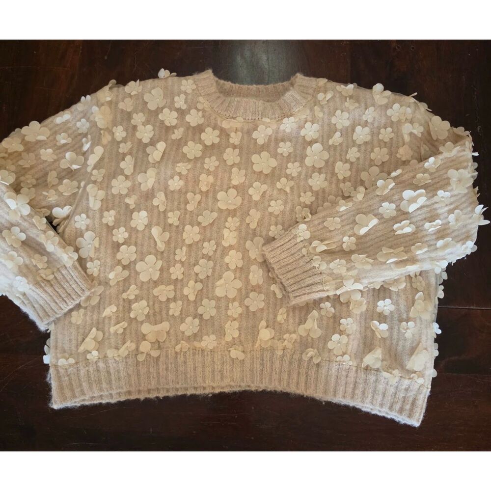 Zara 3D Floral Appliqué Knit Sweater Cream M/L